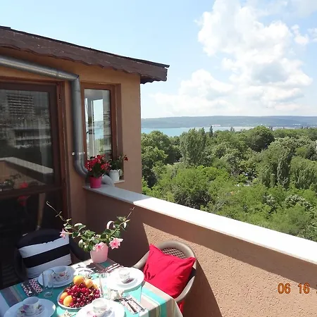 Apartment Sea View Chayka