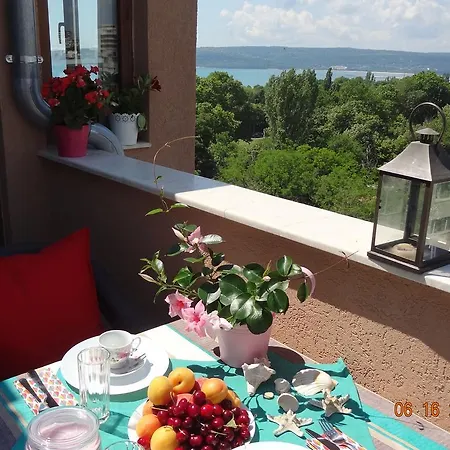 Sea View Chayka