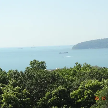 Sea View Chayka
